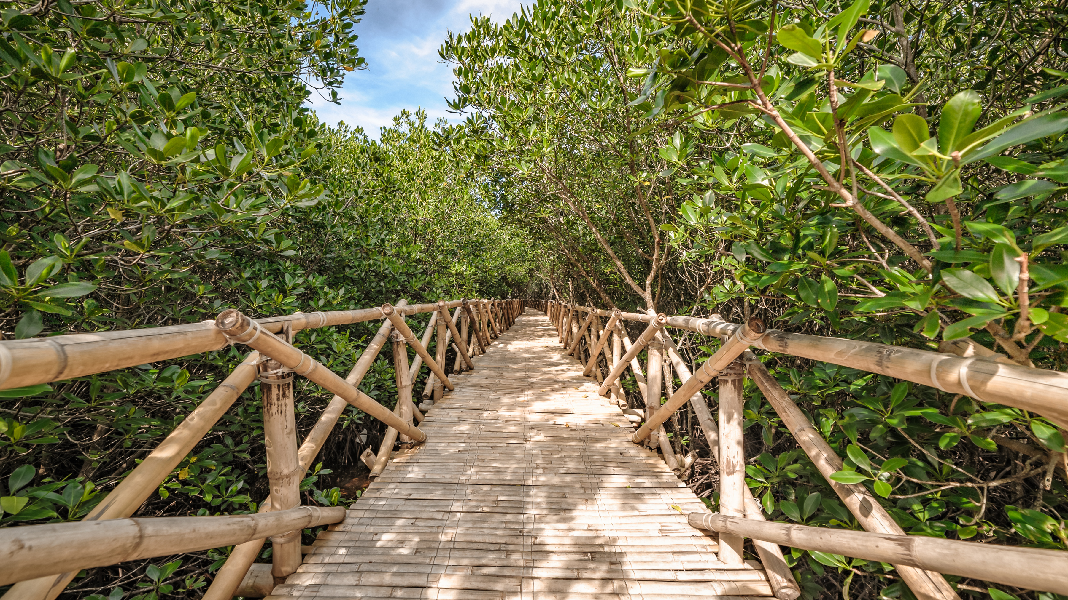 North Zen Villas - Image 3