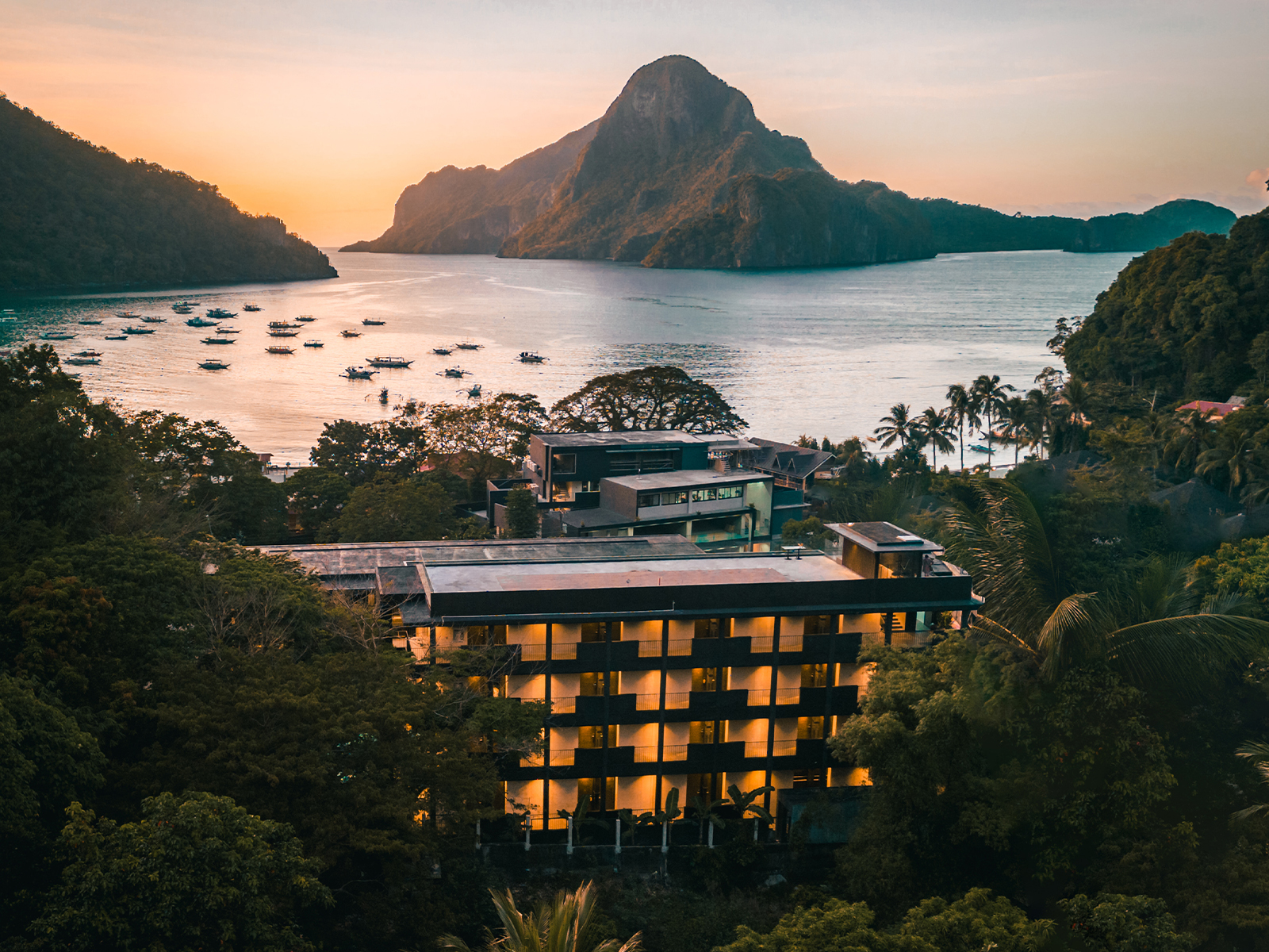 The Funny Lion - El Nido