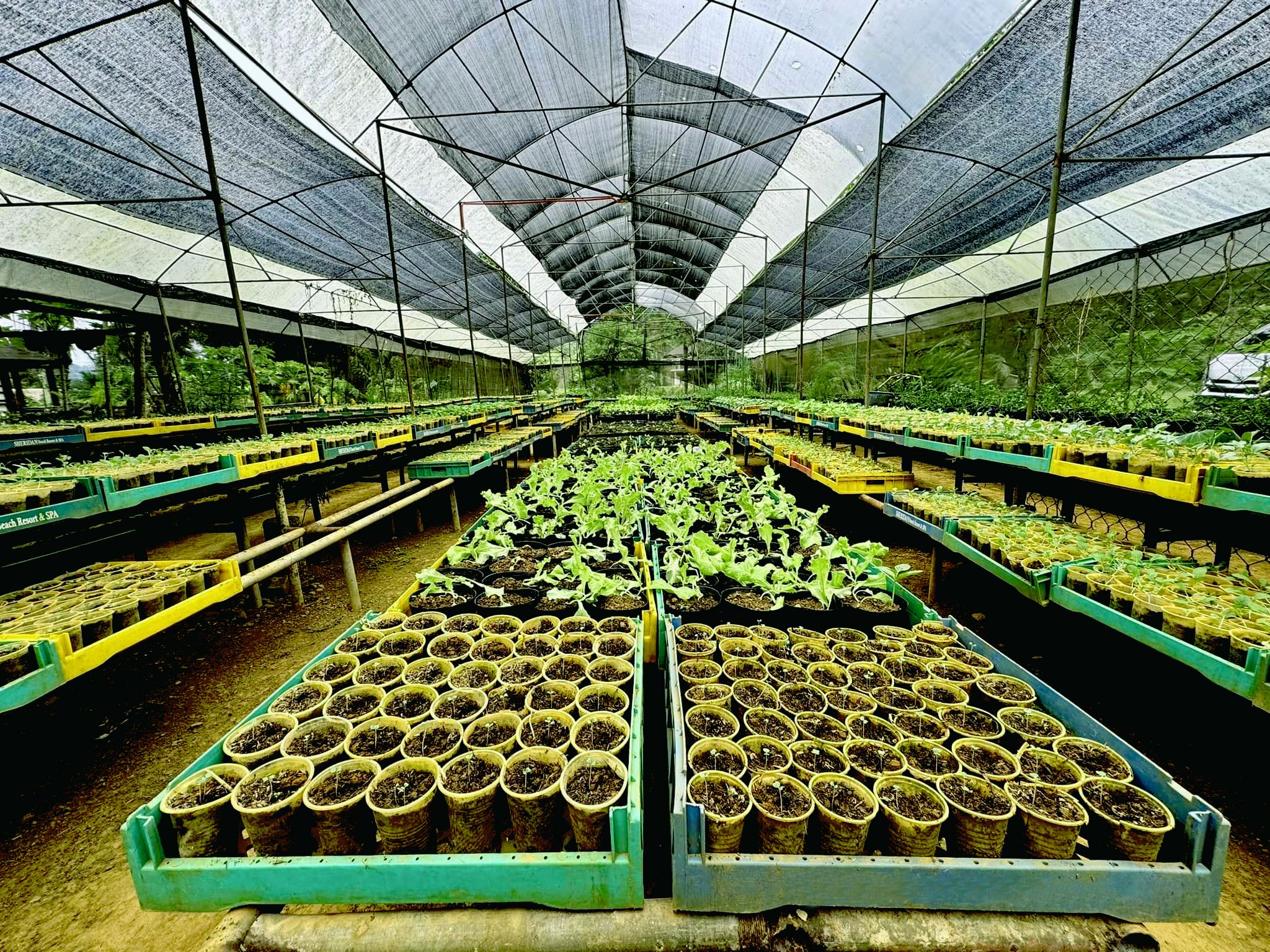 Sheridan Organic Farm And Resort - Image 3